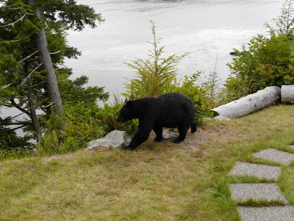 Cygnet Cove Suites Ucluelet Pokój zdjęcie