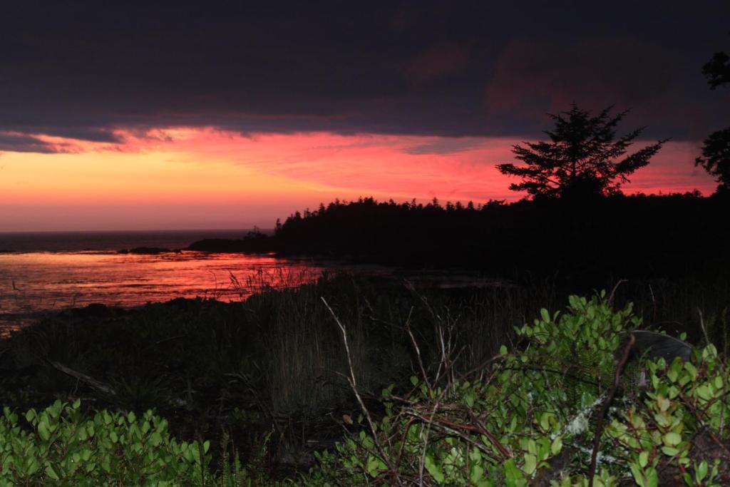 Cygnet Cove Suites Ucluelet Zewnętrze zdjęcie