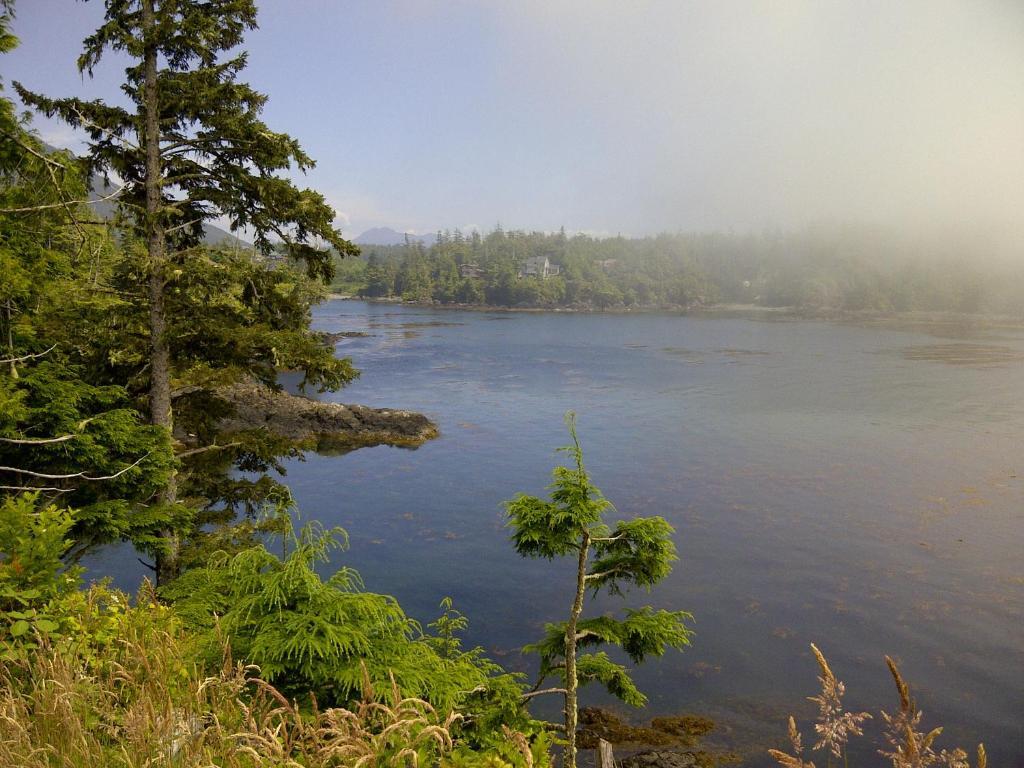 Cygnet Cove Suites Ucluelet Zewnętrze zdjęcie