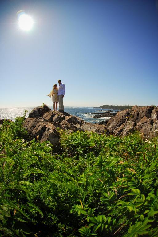 Cygnet Cove Suites Ucluelet Zewnętrze zdjęcie