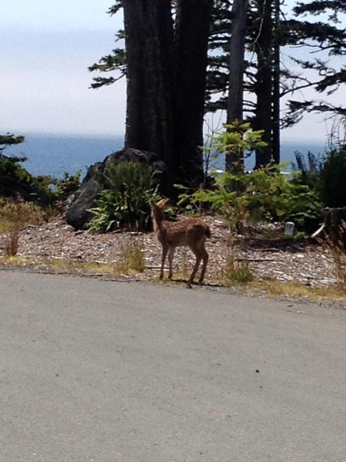 Cygnet Cove Suites Ucluelet Pokój zdjęcie