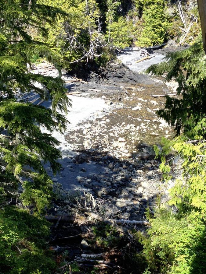 Cygnet Cove Suites Ucluelet Pokój zdjęcie