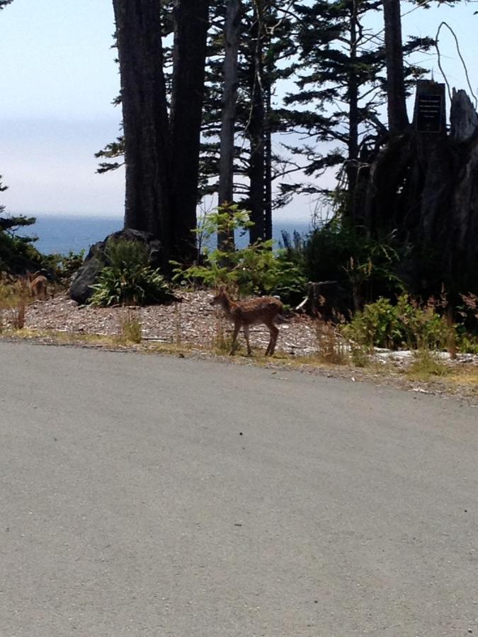 Cygnet Cove Suites Ucluelet Pokój zdjęcie